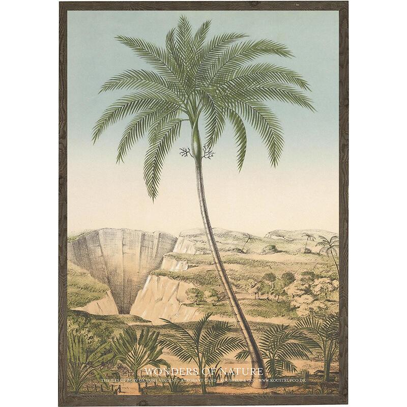 Isle of Bory da Saint Vincent - Art Print - Choose Size