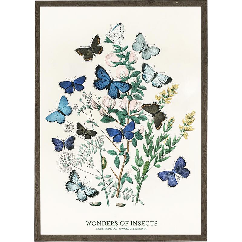 Butterflies - ART PRINT - CHOOSE SIZE