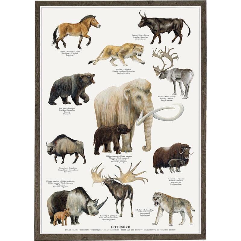 Ice Age Animals - A2 Poster