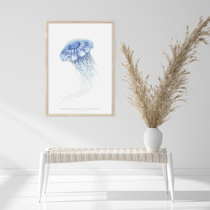 Blue Jellyfish - ART PRINT - CHOOSE SIZE