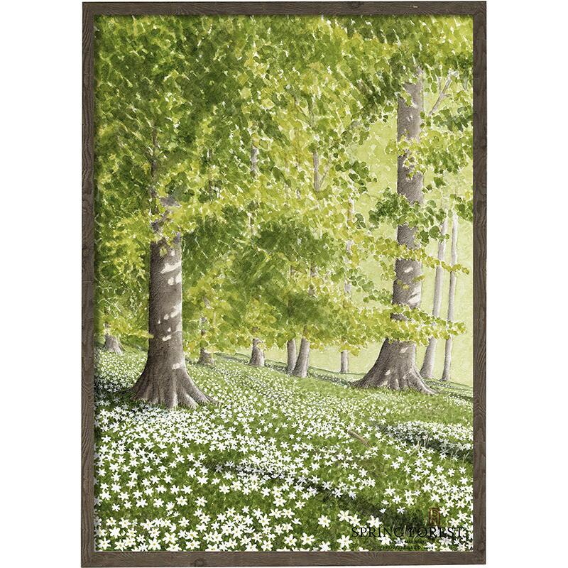 Spring forest - ART PRINT - CHOOSE SIZE
