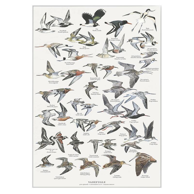 A4 Print - Waders