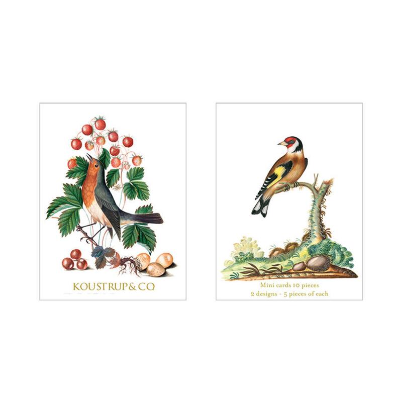 MINI CARDS SUMMER – Robin