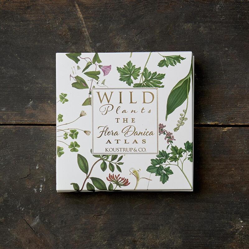 THE FLORA DANICA ATLAS – WILD PLANTS - Square card folder