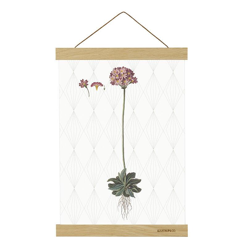 MAGNET RAIL A3 - Oak