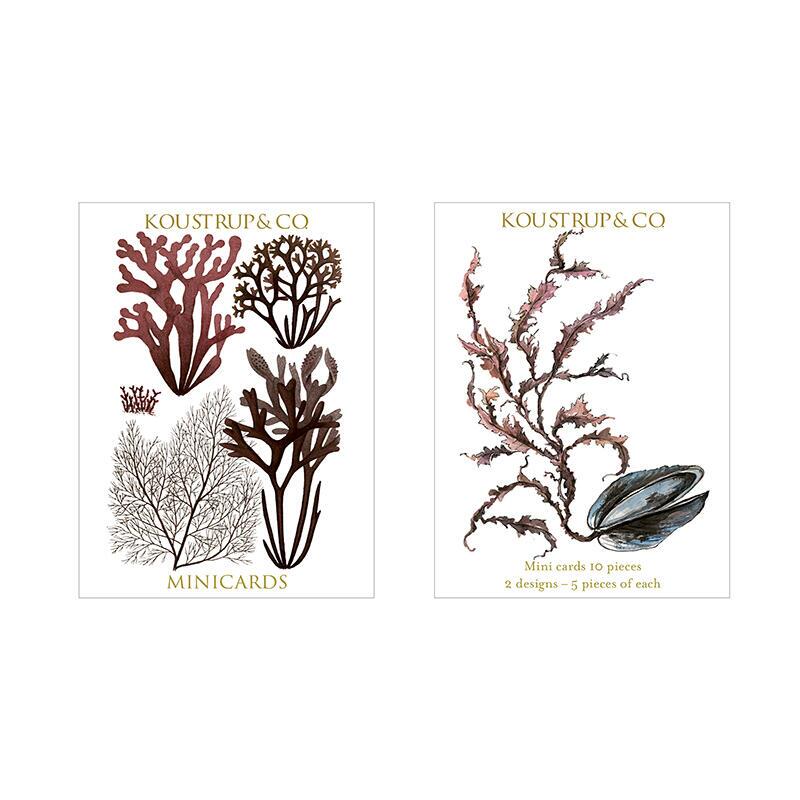 Blue mussel mini card