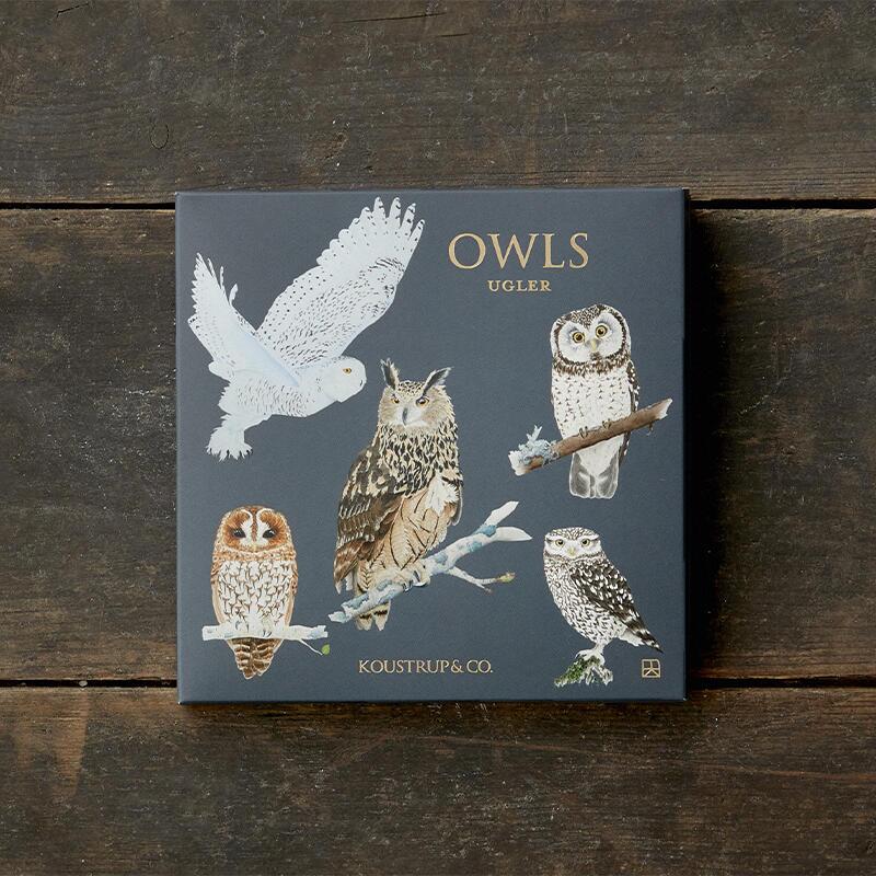 OWLS - Square card set
