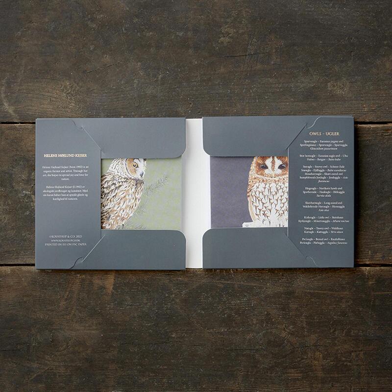 OWLS - Square card set