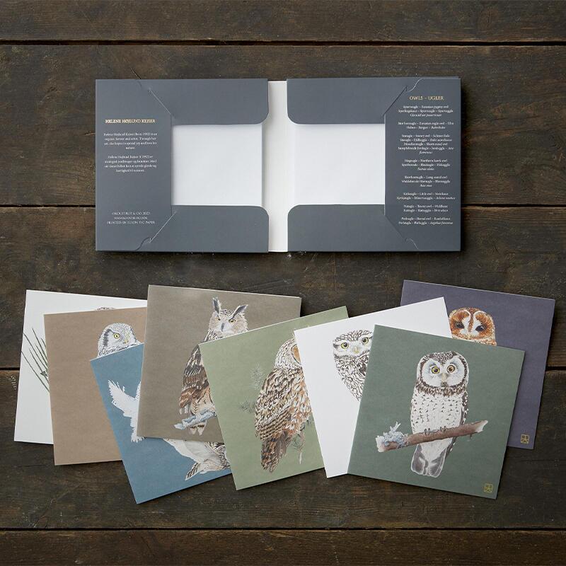OWLS - Square card set