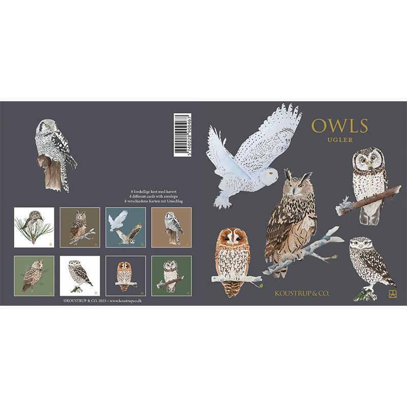 Card set cover - owls
