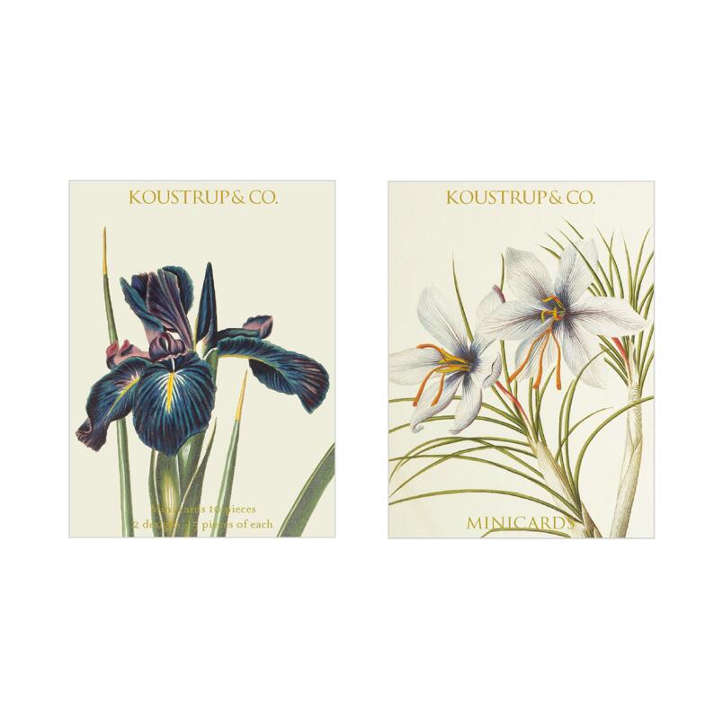 Mini cards spring Iris