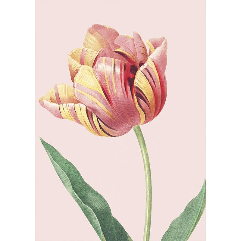 Tulips - A5 single card
