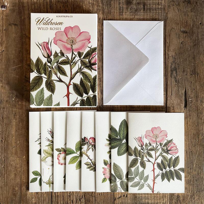 WILDROSEN - 8 cards (German)