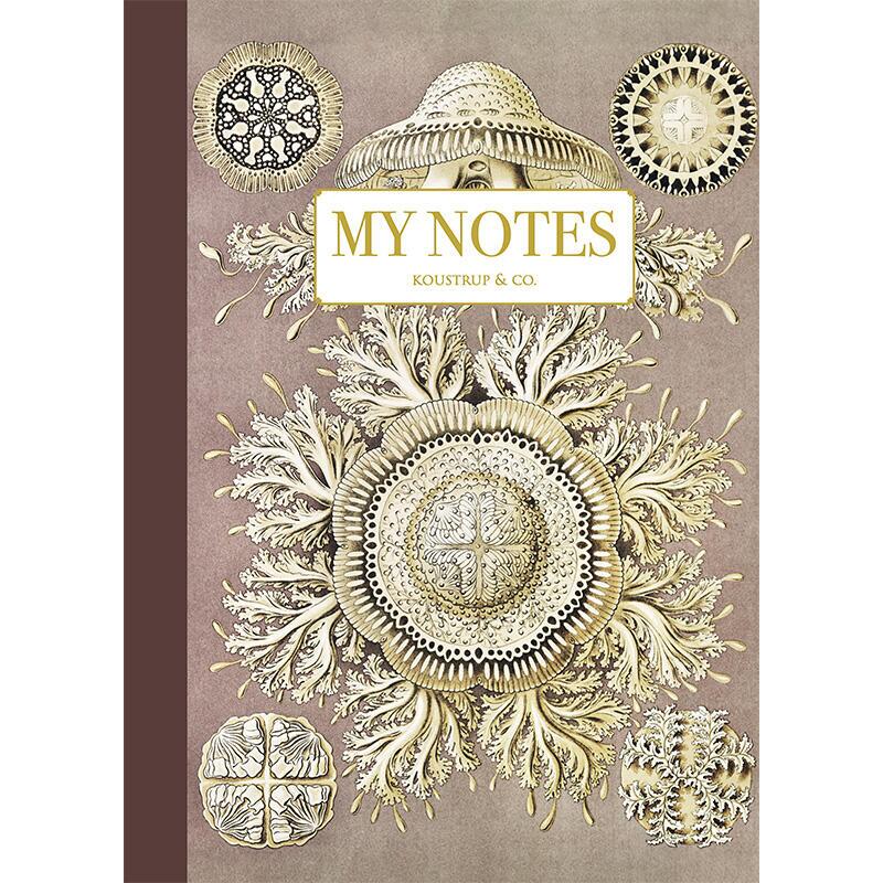 Notebook - Haeckel 2