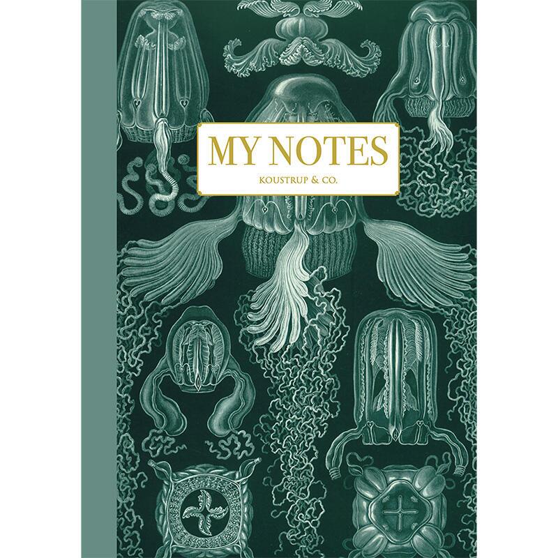 Notebook - Haeckel 3