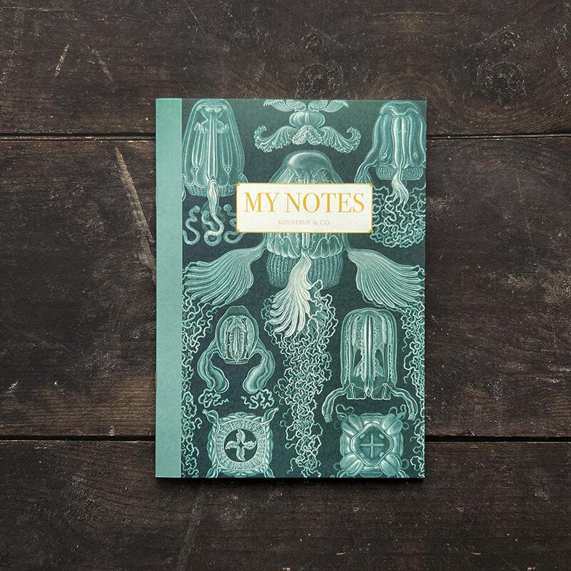 Notebook - Haeckel 3