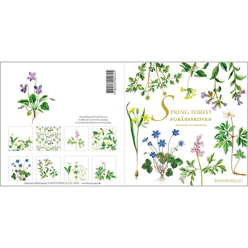 SPRING FOREST - Square card set