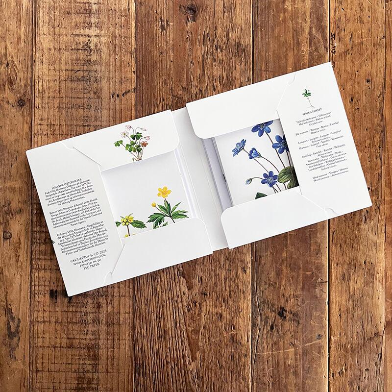 SPRING FOREST - Square card set