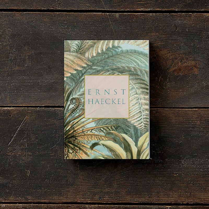 ERNST HAECKEL - 8 cards