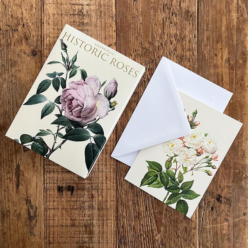 HISTORIC ROSES - 8 cards