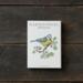 GARDEN BIRDS SPRING - 8 cards (German)