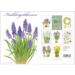 SPRING FLOWERS - 8 Cards (German)