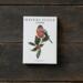 GARDEN BIRDS WINTER - 8 cards