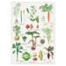 KITCHEN GARDEN - Poster A2