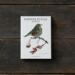 GARDEN BIRDS AUTUMN - 8 cards