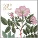 WILD ROSE - Square card set