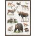 A4 print - Nordic animals (Nordens dyr)