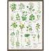 A4 PRINT - Edible wild plants