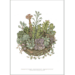 ART PRINT A3 - Succulents in a Pot