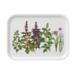 Tray 20x27 - Herbs