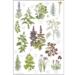 Tea towels with herbs from Koustrup & Co.