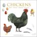 CHICKENS / HENS - Square card folder