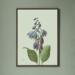 Hosta - ART PRINT - CHOOSE YOUR SIZE