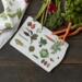 CUTTING BOARD - Kitchen Garden