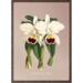Orchid, Cattleya trianae - ART PRINT - CHOOSE SIZE