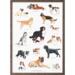 A4 PRINT - Dog Breeds