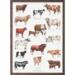 A4 PRINT - Cattle Breeds