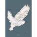 Snowy Owl - ART PRINT - CHOOSE SIZE