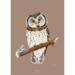 Pearl Owl - ART PRINT - CHOOSE SIZE