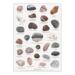 BEACH STONES - Poster A2