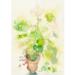 Art print Pelargonium theresa jessing
