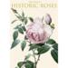 HISTORIC ROSES - 8 cards