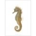 Seahorse - ART PRINT - CHOOSE SIZE