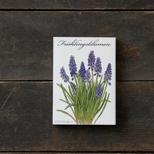 SPRING FLOWERS - 8 Cards (German)