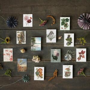 MINI CARDS - Autumn (NEW DESIGNS)