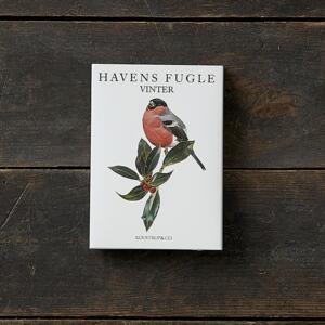 GARDEN BIRDS WINTER - 8 cards